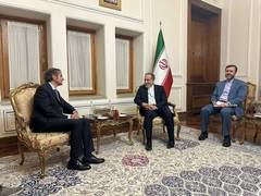 
      
      IAEA chief meets Iran FM, stresses need for nuclear cooperation
      
      