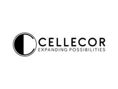 
      
      Cellecor doubles Revenue to cross Rs 1,000 Crore in FY25
      
      