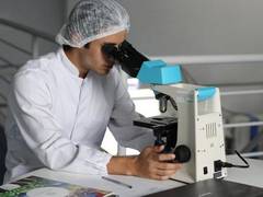 
      
      New human liver organoids improve injury survival rate in rodents
      
      