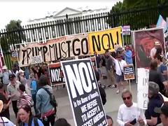 
      
      Thousands rally across US against Trump’s policies
      
      