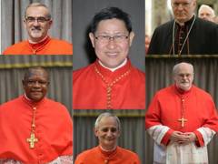 
      
      Know about front-runners who may succeed Pope Francis
      
      