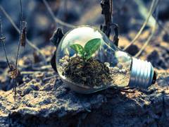 
      
      Green hydrogen presents transformative opportunity to decarbonise
      
      