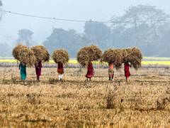 
      
      We will expedite crop harvest: Farmers  in Punjab border village
      
      