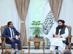 
      
      India, Afghanistan discuss bilateral cooperation
      
      