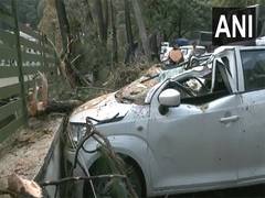 
      
      Thunderstorm in Shimla uproots tree, crushes three parked vehicle
      
      