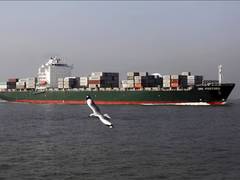 
      
      India bans Pakistani ships from ports to ensure safety of assets
      
      