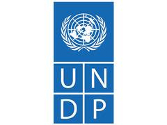 
      
      Human Development progress slows to 35-year low: UNDP
      
      