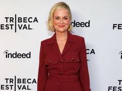 
      
      Amy Poehler return to TV in new comedy series 'Dig'
      
      