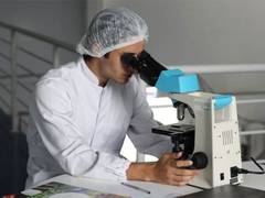 
      
      AI-designed DNA controls genes in healthy mammalian cells
      
      
