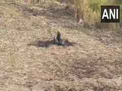
      
      Fragments of projectile retrieved at Nall village in Punjab's Man
      
      