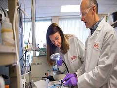 
      
      Tirzepatide tops semaglutide in trial
      
      