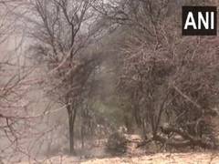 
      
      Rajasthan: Police successfully diffuses suspicious object 
      
      