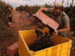 
      
      Israel launches USD 1.4B national food security strategy for...
      
      