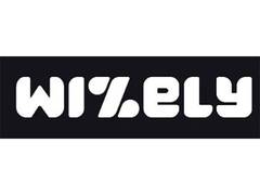
      
      Digital Vs Physical Gold: How Wizely Sets the New Standard
      
      