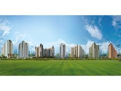 
      
      Prime Locations of Jain Housing Projects and Their Growth
      
      