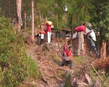 
      
      J-K: Locals start returning home in Poonch's Salotri village 
      
      