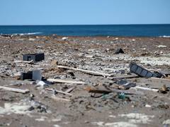 
      
      EU-India to jointly find solutions to marine pollution
      
      