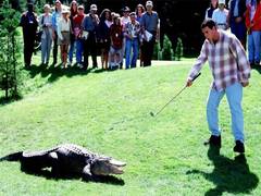 
      
      Adam Sandler mourns death of ‘Happy Gilmore’ alligator co-star
      
      