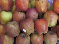 
      
      Fruit traders in Prayagraj decided to boycott Turkish apples
      
      