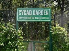 
      
      Uttarakhand Forest Department establishes state's first Cycad Gar
      
      