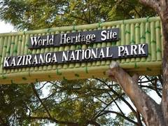 
      
      Kaziranga National Park becomes India’s 3rd most visited park
      
      