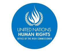 
      
      UN raises concerns over Maldives' judicial independence
      
      