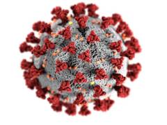 
      
      Health Ministry reviews COVID-19 surge abroad; India reports 257 
      
      