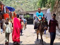 
      
      Palki, pony, pithoo owners resume services at Vaishno Devi
      
      