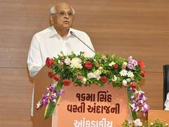 
      
      Gujarat: CM Patel announces 16th lion population estimation
      
      