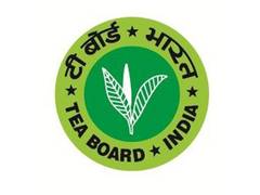 
      
      India eyes new markets after record-breaking exports: Tea Board
      
      