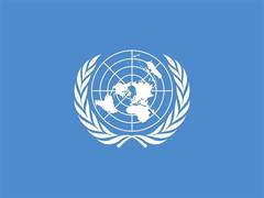 
      
      UN child rights body condemns mass starvation of Gaza children
      
      