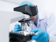 
      
      Experimental painkiller could outsmart opioids: Study 
      
      