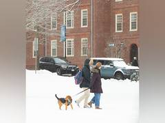 
      
      Trump administration bars Harvard from enrolling foreign students
      
      