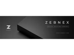 
      
      Zebnex: Dehradun's Digital Alchemists Forging India
      
      