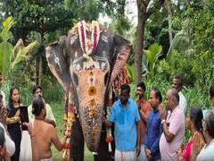 
      
      Tamil Nadu: Temple elephant Akhila celebrates 23rd birthday
      
      