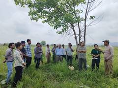 
      
      Aaranyak plantation drive aims to mitigate man-animal confllict
      
      