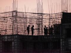 
      
      India’s cement sector poised for resilient growth: Report
      
      