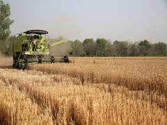 
      
      Centre extends interest subvention scheme for farmers by a year
      
      