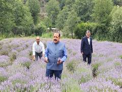 
      
      Lavender gave Bhaderwah national identity: Jitendra Singh
      
      