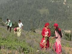 
      
      J-K: Around 200 farmers get hands-on training in Doda
      
      