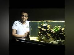 
      
      How Aquascaping is Redefining Interior Design in India 
      
      