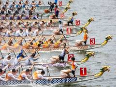 
      
      Paddles Up: Race into Hong Kong's Dragon Boat Festival 
      
      