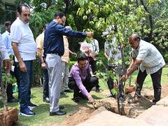 
      
      DU Plants ‘Sindoor’ on World Environment Day
      
      