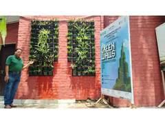 
      
      Smiling Tree Celebrates World Environment Day at Hansraj College 
      
      