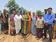 
      
      Astral Foundation Plants 10,000 Trees 
      
      