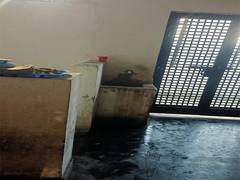 
      
      Delhi: Undertrial prisoner killed in Saket court lockup
      
      