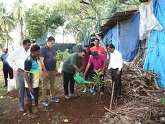 
      
      MCA  organises tree plantation on World Environment Day
      
      