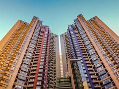 
      
      RBI's rate cut will boost mid-segment housing affordability
      
      