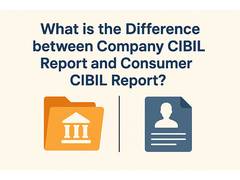 
      
      What is the Difference between Company and Consumer CIBIL Report?
      
      