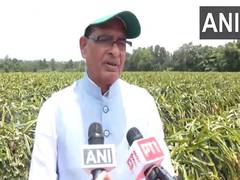 
      
      Union Minister Shivraj Singh Chouhan visits dragonfruit farm in B
      
      